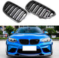 F87 M2 CARBON FIBRE DUAL SLAT KIDNEY GRILLE