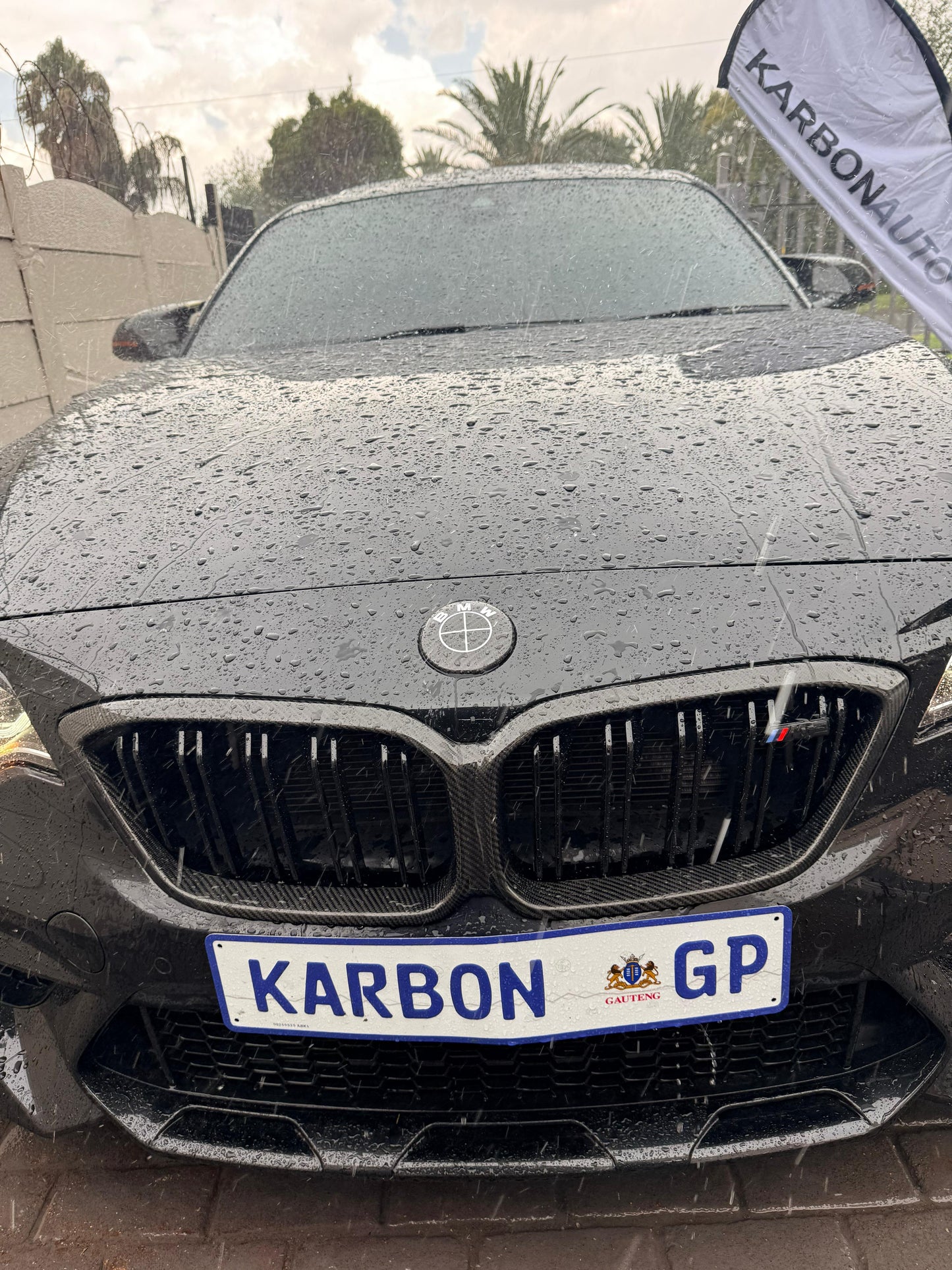 F87 M2 COMPETITION DRY CARBON FIBER FRONT GRILLES TRIMS