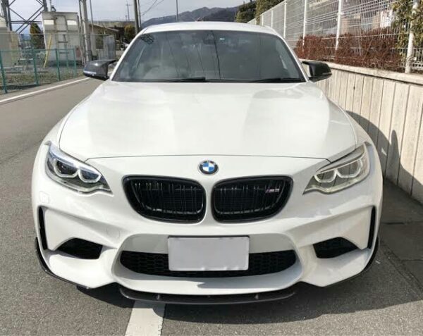 F87 M2 CARBON FIBRE CENTRAL FRONT LIP