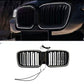BMW X3 G01 (LCI) LED DUAL SLAT KIDNEY GRILLE