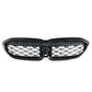 G20 3-SERIES DIAMOND GLOSS BLACK KIDNEY GRILLES